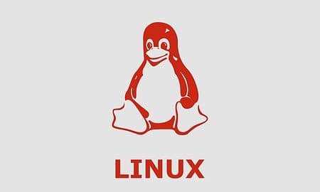 Fedora Linux nu officieel ondersteunde WSL-distributie