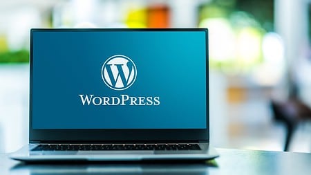 DNS-analyse ontmaskert verbanden tussen VexTrio en WordPress-hackers
